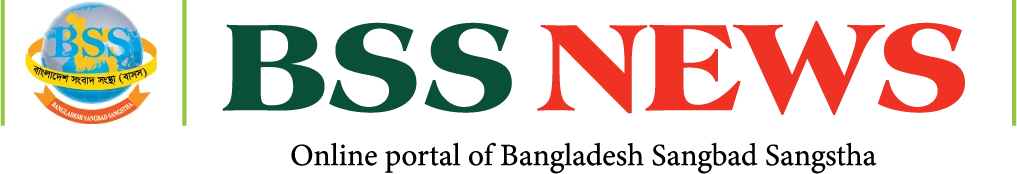 BSS NEWS Logo